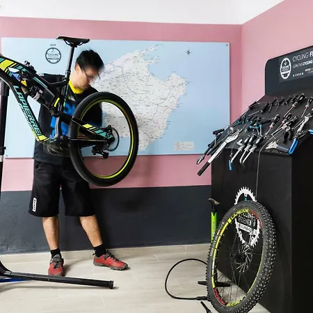 Apartmán Flor Almendros Peguera