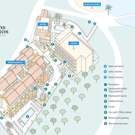 Flor Almendros Peguera